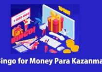bingo for money para kazanma